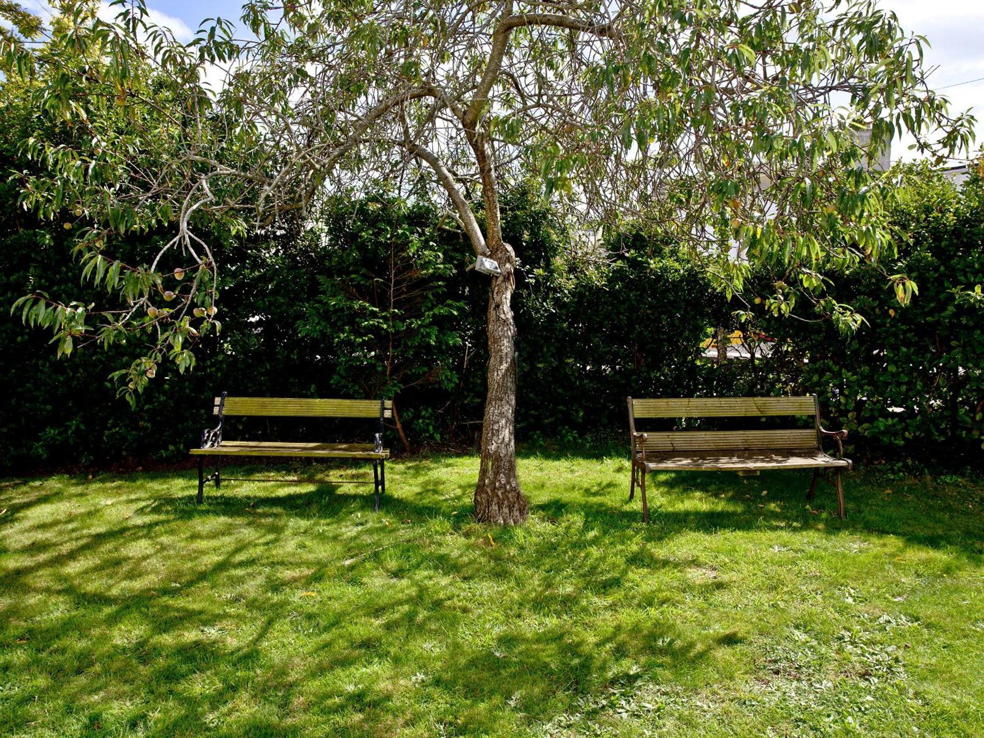 Devon Villa Garden Apartment Torquay Bagian luar foto